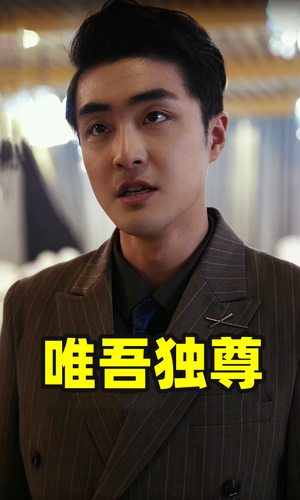 唯吾独尊（96集）解说