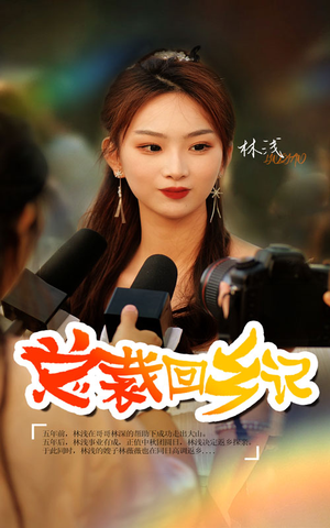 总裁回乡记（67集）热门短剧大全