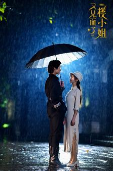 又见面了楼小姐（68集）免费短剧大全
