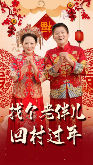 找个老伴儿回村过年（58集）短剧完整版免费