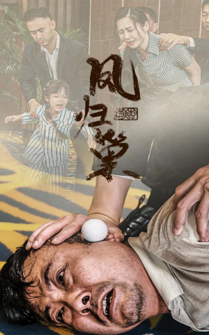 新版：凤归巢（68集）短剧有好货推荐