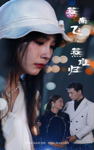 燕南飞，燕难归（31集）最热短剧抢先看