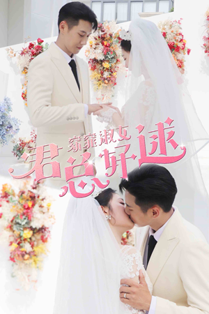 窈窕淑女，君总好逑（85集）解说