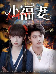 小福妻（62集）在哪看