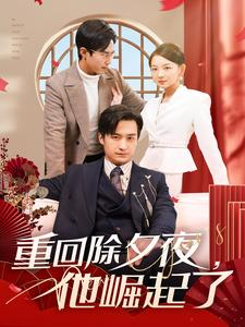 重回除夕夜他崛起了（89集）推荐热门短剧