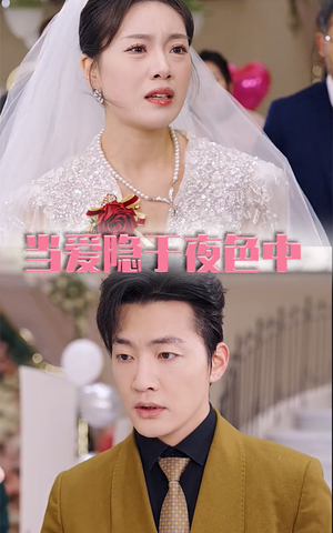 当爱隐于夜色中（37集）短剧免费观看