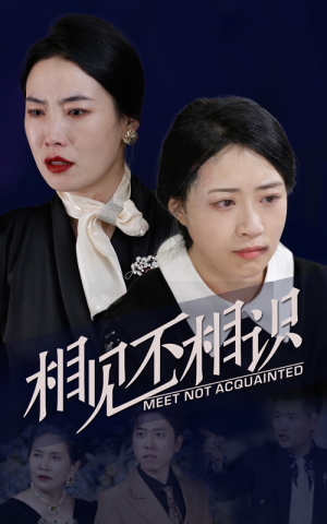 相见不相识（34集）短剧抢先看