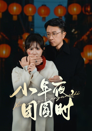 小年夜万家灯火没有我（35集）免费全集短剧