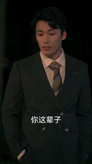 揽月拂南洲（49集）免费在线看全集
