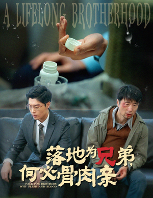 落地为兄弟，何必骨肉亲（60集）1-102集