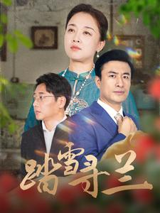 踏雪寻兰（94集）每日分享短剧