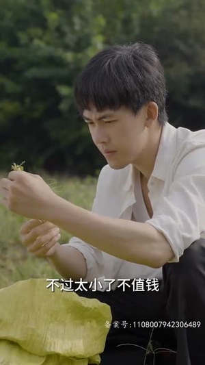 乡间幸福往事（80集）热门短剧大全