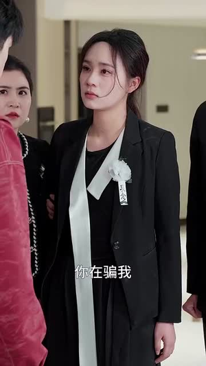 错把亲疏分你我（30集）哪个短剧网能看