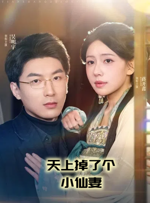 天上掉了个小仙妻（60集） 一共多少集