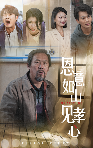 恩意如山见孝心（55集） 网盘在线观看