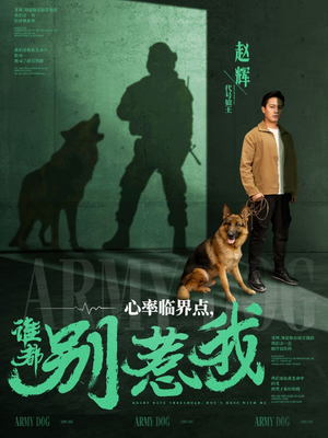 心率临界点谁都别惹我（96集） 精彩短剧片段