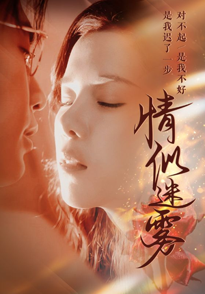 情似迷雾（50集） 解说