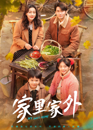 家里家外（79集） 在线免费观看