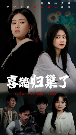 喜鹊归巢了（60集） 高清画质免费看