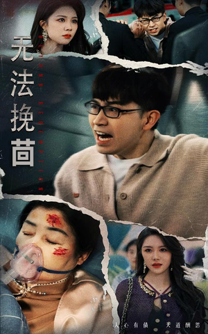 无法挽回（56集） 在线看完整版