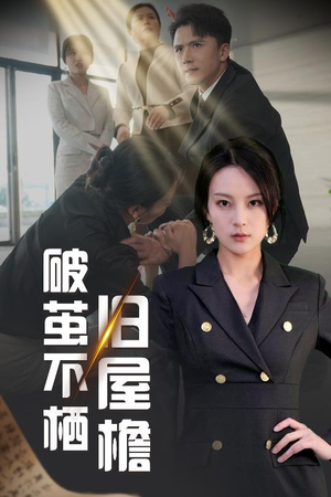 破茧不栖旧屋檐（30集） 演的怎么样