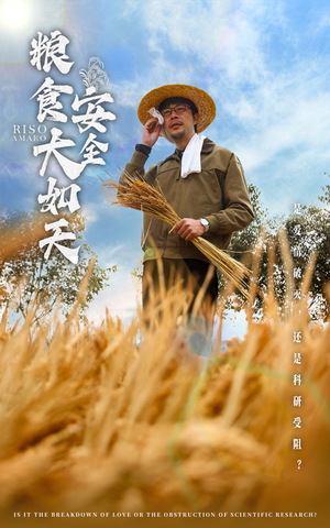 粮食安全大如天（43集） 短剧免费观看