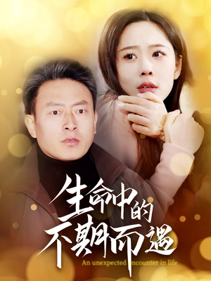 生命中的不期而遇（35集） 全集一次看完