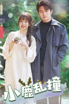 小鹿乱撞（40集） 好看短剧看不停