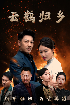 云鹤归乡（65集） 真的好看吗