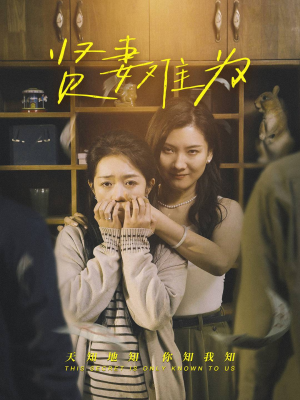 贤妻难为（30集） 全剧免费观看