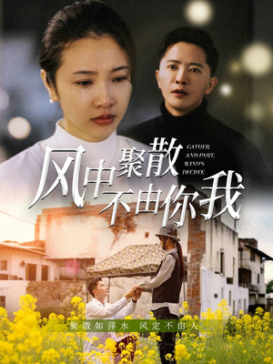 风中聚散不由你我（41集） 我真的爱了