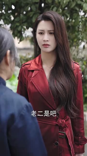 养母的秘密（34集）短剧在哪里看