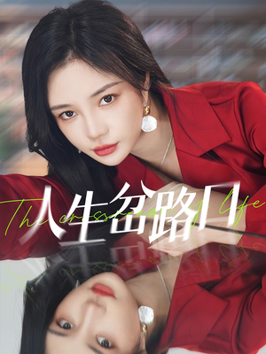 人生岔路口（30集）免费版