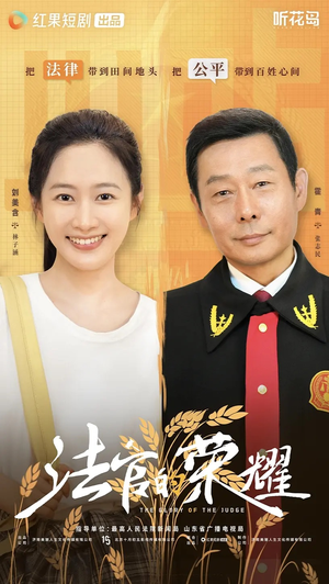 法官的荣耀（5集全）海量资源免费看