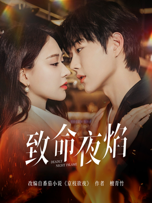 致命夜焰（80集） 最后一集