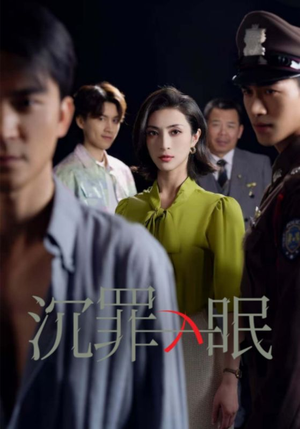 现在开庭（33集） 经典老剧免费看