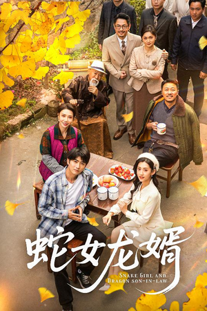 不负韶华不负卿（52集） 高分佳作免费看
