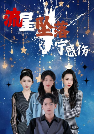 流星坠落宁感伤（82集） 免费观看全集