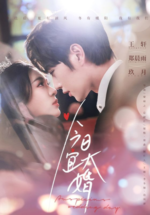 今日宜大婚（59集） 短剧越看越精彩