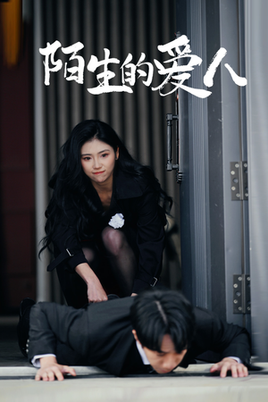 陌生的爱人（60集）短剧免费看全集