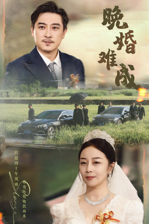 晚婚难成（60集）在哪里可以看