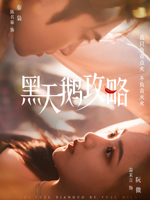 黑天鹅攻略（65集）演的怎么样