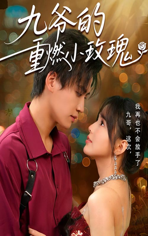 九爷的重燃小玫瑰（67集）全集一次看完