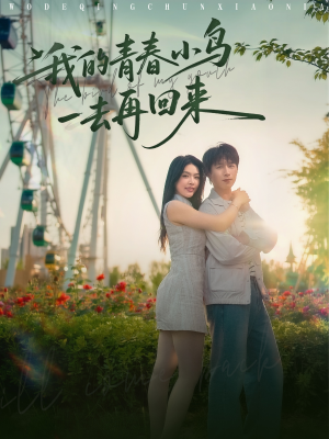 我的青春小鸟一去再回来（95集）全集