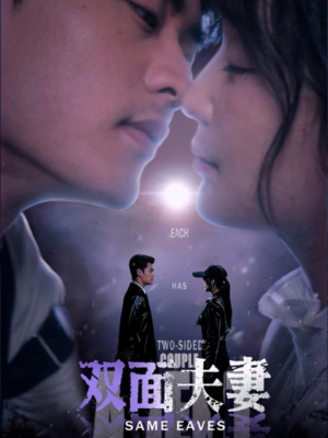 双面夫妻（67集）网盘在线观看