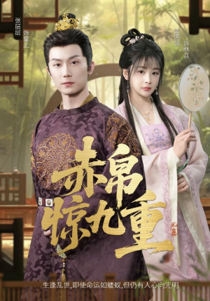 赤帛惊九重（79集）看到大结局