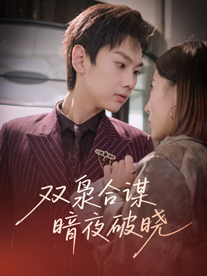 双枭合谋暗夜破晓（30集）在哪里可以看