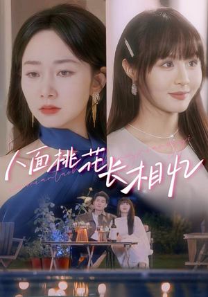 人面桃花长相忆（81集）一共多少集