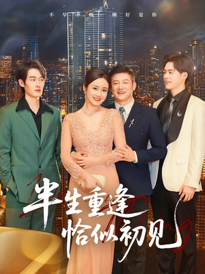 半生重逢恰似初见（90集）热门短剧在线看
