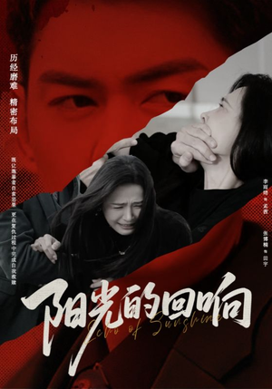 阳光的回响（50集）真的太精彩了
